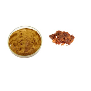 Commiphora Mukul (Guggul) エキスパウダーのバルク量 | インドググルエキスパウダー | 3:1ググルエキスパウダー - Product Image 3