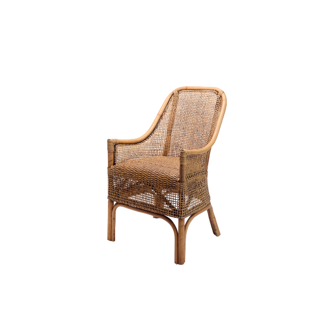 ธรรมชาติ