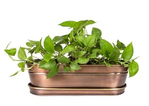<strong>Planter</strong> Standing <strong>Planter</strong> with a Removable Pot Outdoor Garden Decor at Drop Bottom Price - Product Image 4
