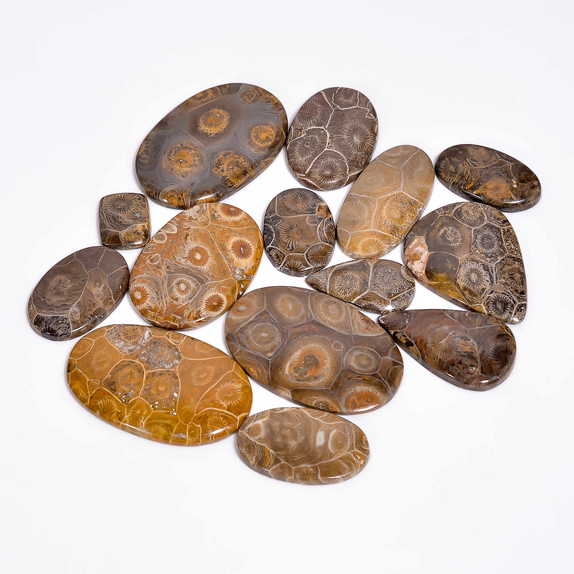 สีน้ำตาล