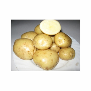 米国からの高品質の新鮮なポテトホワイトポテトグローバルサプライヤートップグレードの新鮮な野菜ポテトカスタマイズされたパッケージ