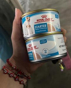 מזון חתול יבש ורטוב חתול 24 חבילות 85 גרם כל אחד, אידיאלי כדי גזע כלבים מבוגרים מ <span class=keywords><strong>10</strong></span> חודשים עד 12 שנים פלוס 6 ס "מ