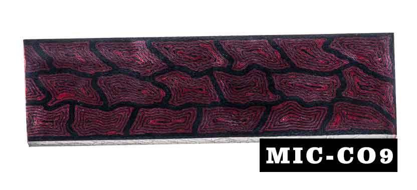 MIC-C09