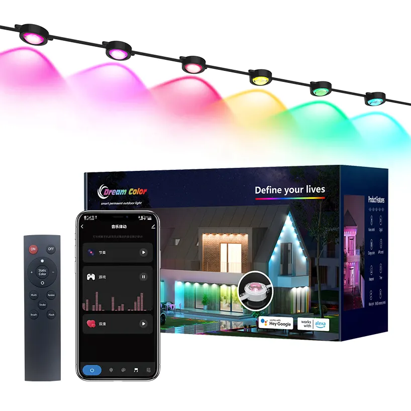 Ship Immediately! Online Store Supplier Rgb Magic Color LED Permanent Outdoor Lights for Christmas Holiday Decoration