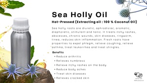 Premium Sea Holly <strong>Oil</strong> 1000ml (Premium Grade) Hot-Pressed Bulk Sale Cosmetic Base <strong>Oil</strong> - Product Image 4