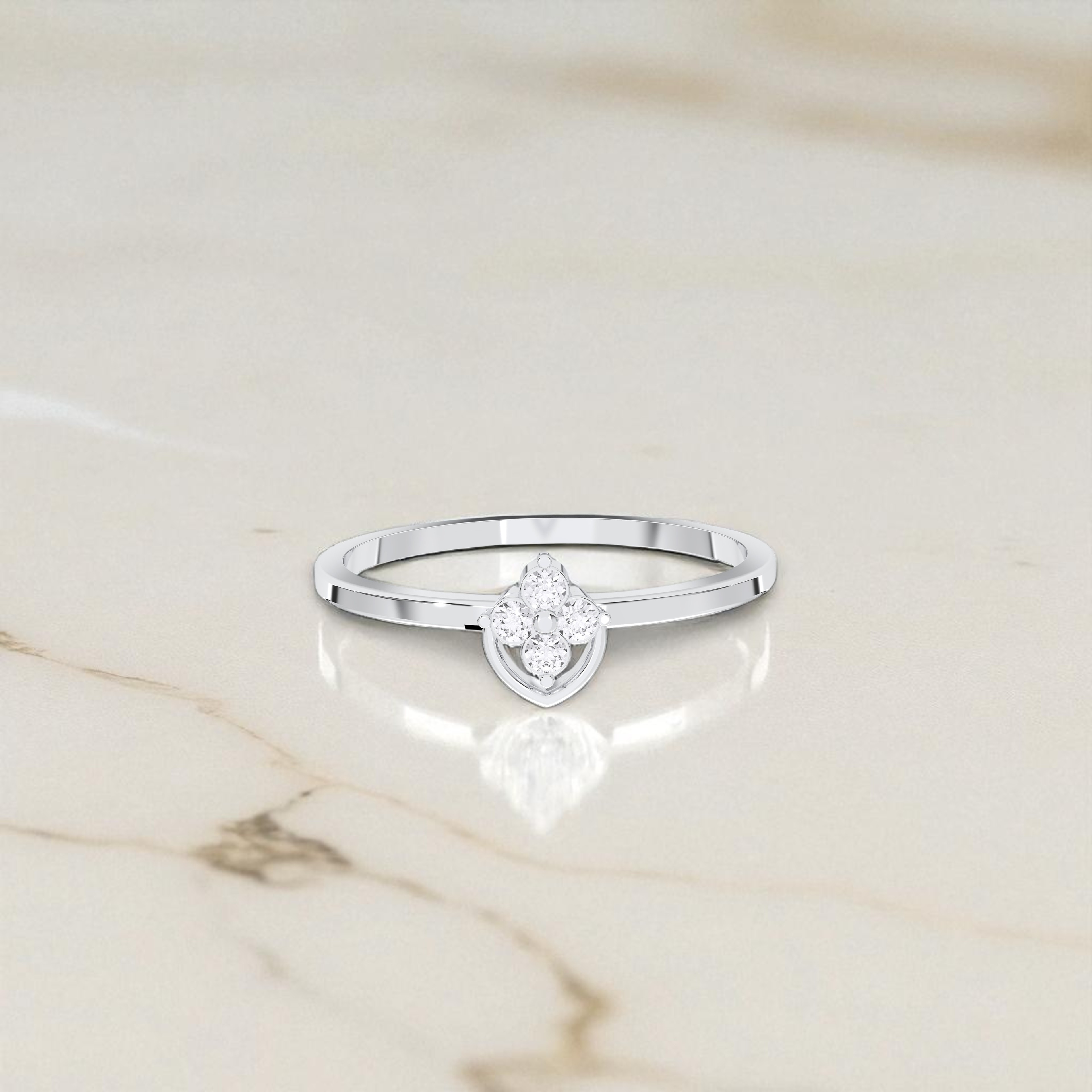 10K White Gold