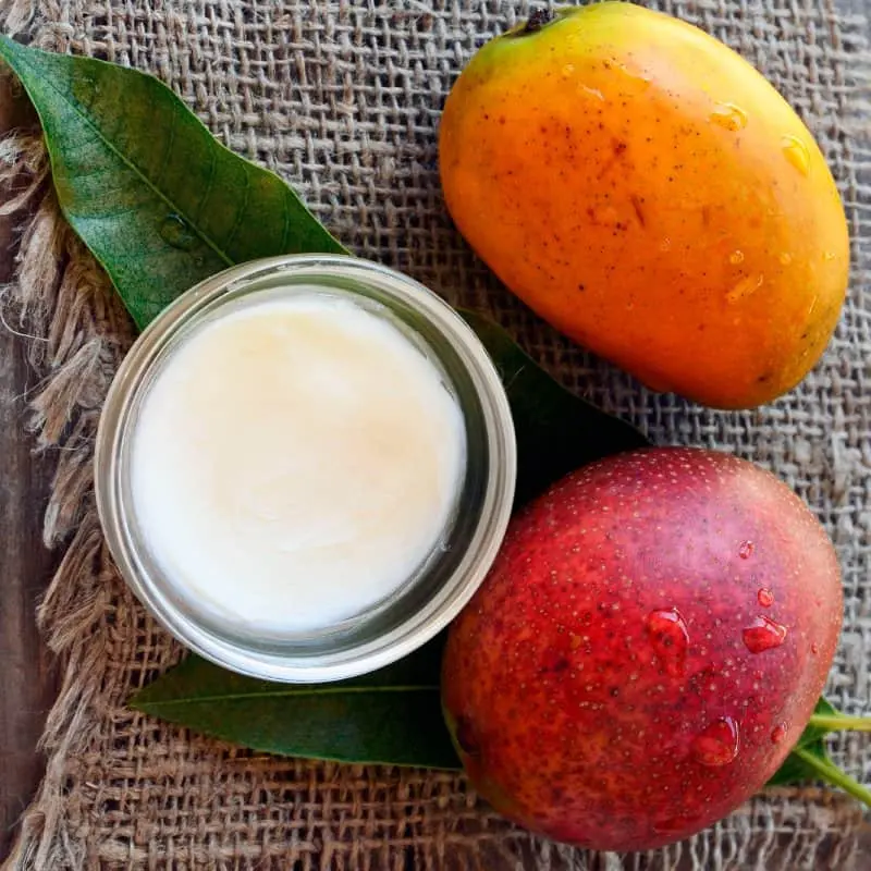 Burro di Mango naturale per la cura della pelle idratante e alleggerimento della bellezza crema per il viso esportazione quantità sfuse produzione dall'India