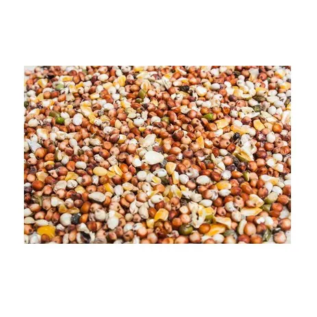 Кукурузная мука высокого качества | 60% для кормления птиц из животного белка