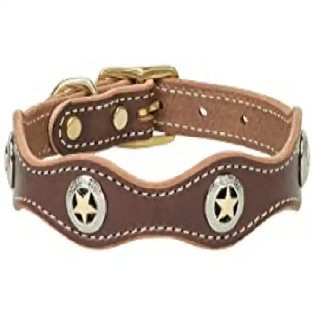 ช็อกโกแลต