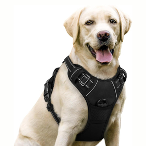Harnais pour chien sans traction et ensemble de laisse noire gilet de harnais pour chiot robuste pour petits à grands chiens confortable et sécurisé - Product Image 6