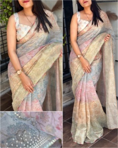 İnanılmaz elbise Tashpa organze ile altın Zari Saree bluz dijital baskı <span class=keywords><strong>Katha</strong></span> payetler ve çok iplik sınır ile satılık çalışmak