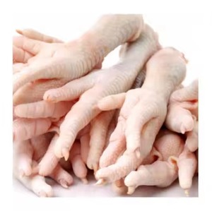 A级清真冷冻鸡爪优质肉禽产品 - Product Image 2