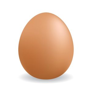 ซัพพลายเออร์คุณภาพสูงของไข่ไก่สด/ไข่ไก่ในฟาร์มที่มีอยู่