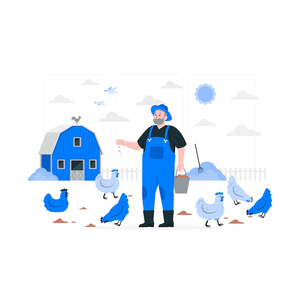 Indian Exporters Sale Feather Fleet High Digital Poultry Farm Management Software Mac Operating System Internet Version Business - Product Image 6