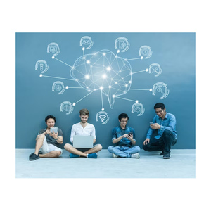 Digital Evolution Backbone Network Dynamics von Indian Exporters entfesselte IT-Netzwerks oftware für den Online-Versand - Product Image 3