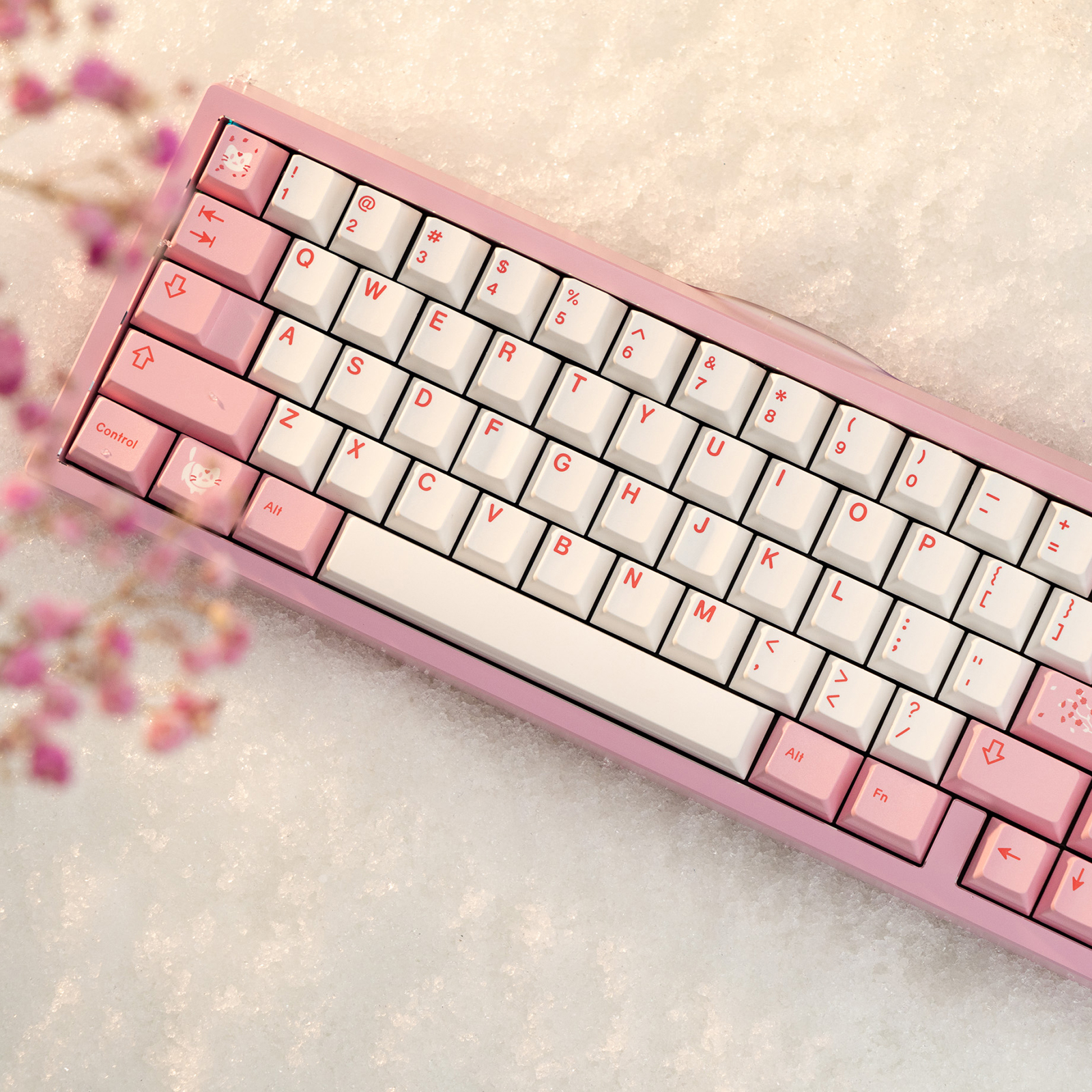 E-Blush Rosa