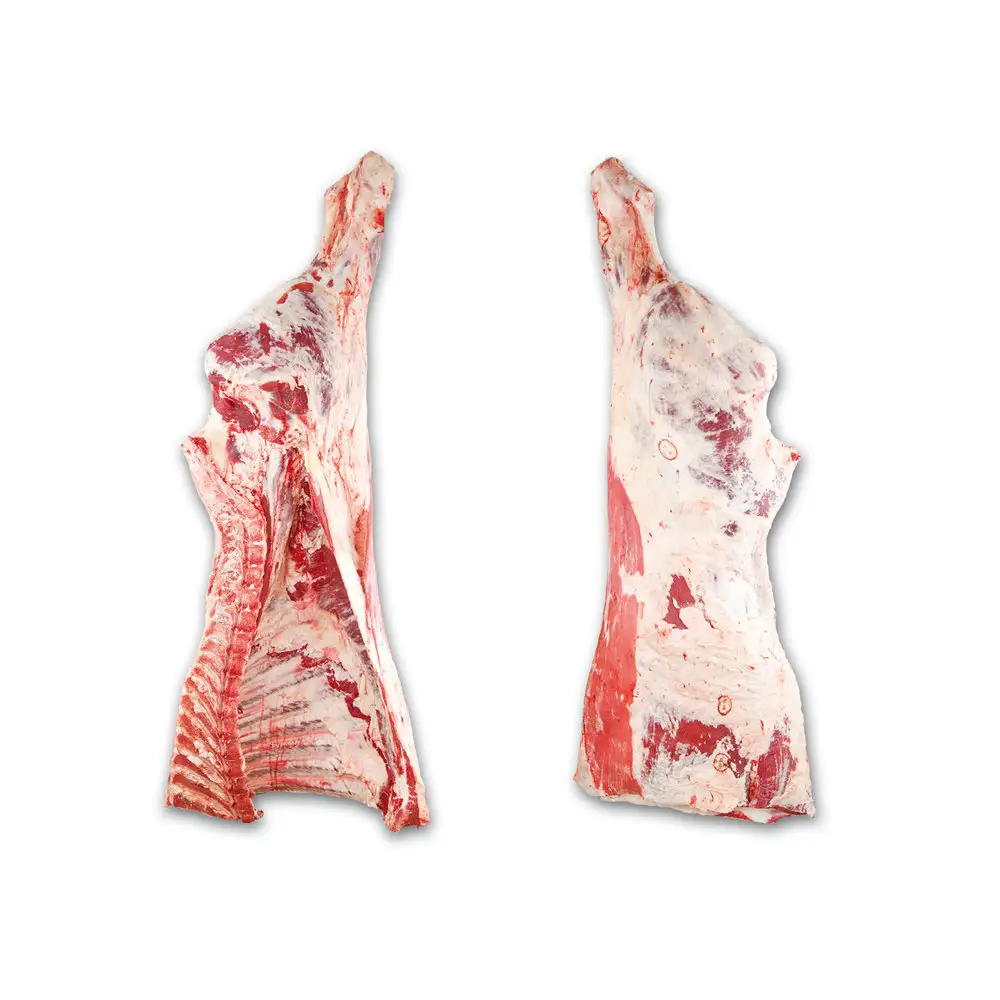لحم البقر الطازج من الدرجة الأولى لتقليم اللحوم المجمدة الذبيحة
