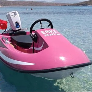 Ocean Seajoy Electric Mini Boatピンクウォーターゴーカート、アルミニウムハル船外エンジンセーリングヨットタイプ