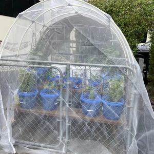 Bền Tùy Chỉnh 50 Lưới & 60 Lưới Vườn Lưới Côn Trùng Bằng Chứng Rau <span class=keywords><strong>Net</strong></span> Cho Nông Nghiệp - Product Image 5