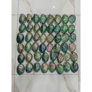 Gusci di Abalone lucidi e grezzi dal Vietnam gusci di alta qualità per mobili di alta qualità intarsio, gioielli e disegni in resina - Product Image 4