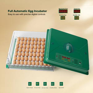 High Quality 70 Egg <strong>Chicken</strong> Incubator with Digital Display and Automatic Turning System ECO PROFI <strong>C</strong>-70 - Product Image 4