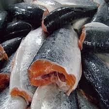 <strong>Super</strong> Quality Whole Frozen Fresh Salmon Fish / Frozen Norwegian Atlantic Salmon Fillet - Product Image 2