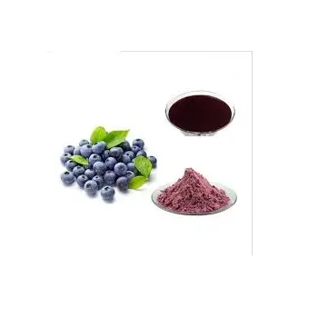 100% натуральный органический радикальный антиоксидант HPLC фиолетовый антоцианин Черничный экстракт порошок для дополнения
