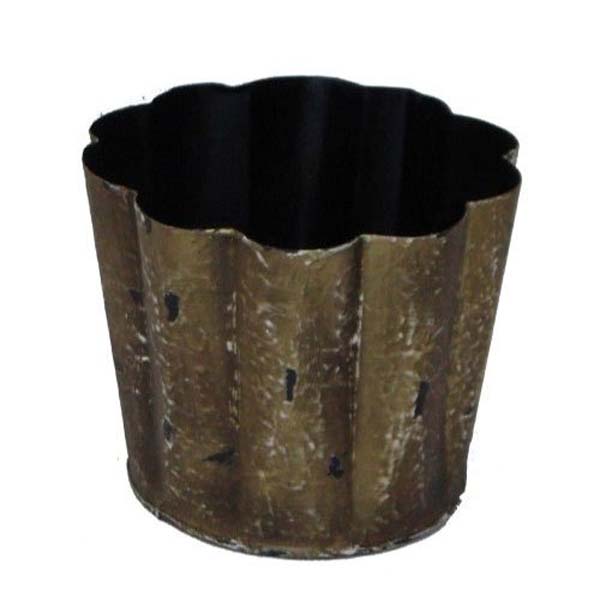Comme image