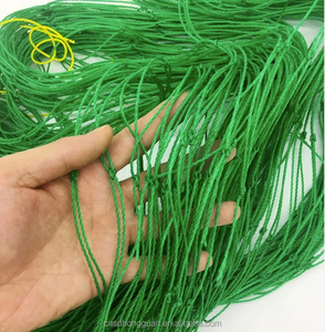 Garden <strong>Trellis</strong> <strong>Netting</strong> Plants Climbing <strong>Net</strong> UV Treated Polyethylene Vegetable Planting <strong>Net</strong> for Cucumber Grape Bean - Product Image 6