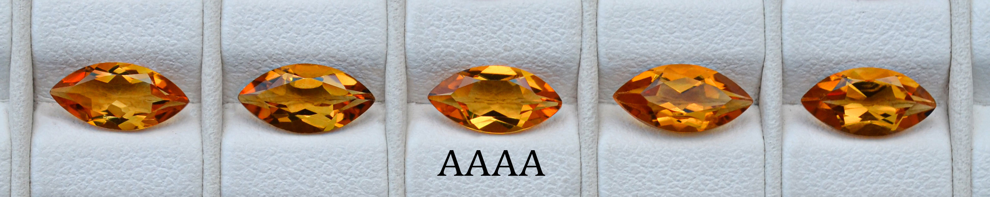 AAAA