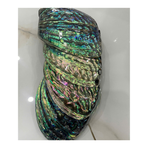 จี้เปลือกหอยเป๋าฮื้อขัดเงาเดี่ยวพร้อมสีรุ้งสวยงามงานฝีมือเปลือกหอยเป๋าฮื้อ-เหมาะสำหรับการทำเครื่องประดับ - Product Image 1