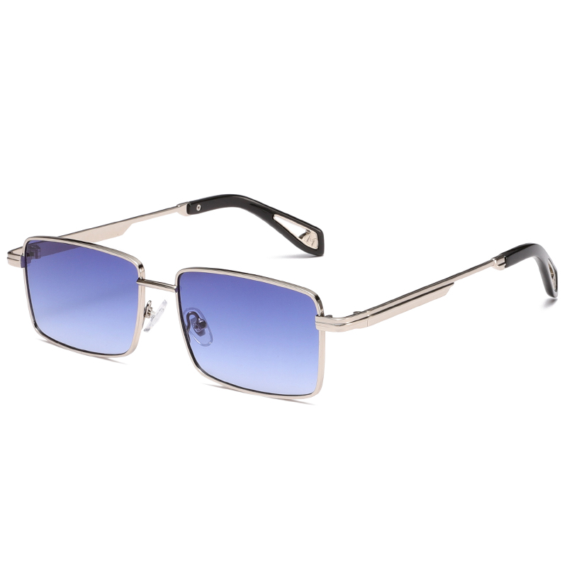 C3: Silver/ Blue