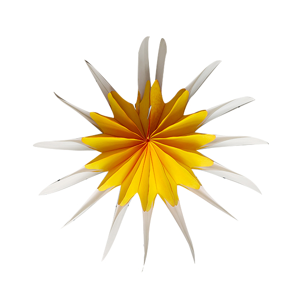 สีเหลือง