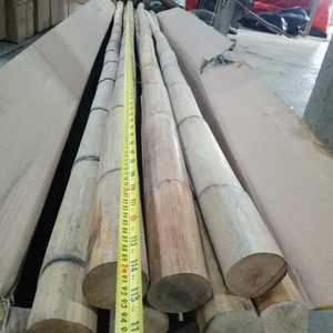 MANAU POLE - BIG SIZE - Product Image 1