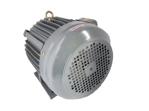 LCH IEC标准交流电机，可选安装类型 (B3 B5 B14) - Product Image 3