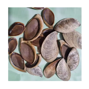 หอยทากเปลือกหอยแห้งจากฝรั่งเศส - Product Image 1
