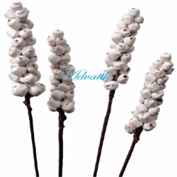 ธรรมชาติ