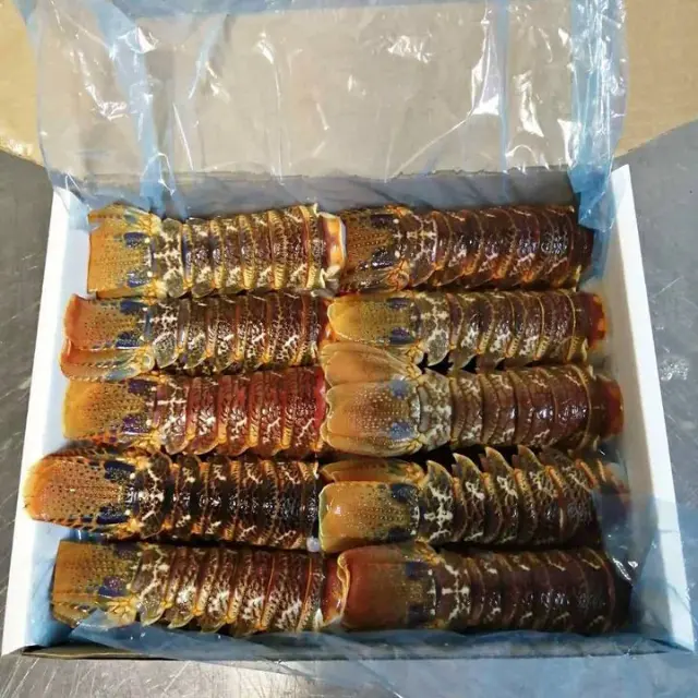 जमे हुए Crawfish लॉबस्टर पूंछ मांस नए सत्र craw मछली के लिए निर्यात