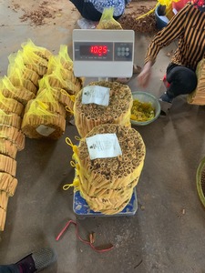 决明维拉8厘米，1千克出口包装埃及，迪拜，阿联酋-优质-2024新收获季节