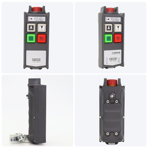 Alta relación calidad-precio Plataforma de control remoto de grúa de 2 botones Polipasto eléctrico Control remoto Fácil operación para cargas pesadas - Product Image 5
