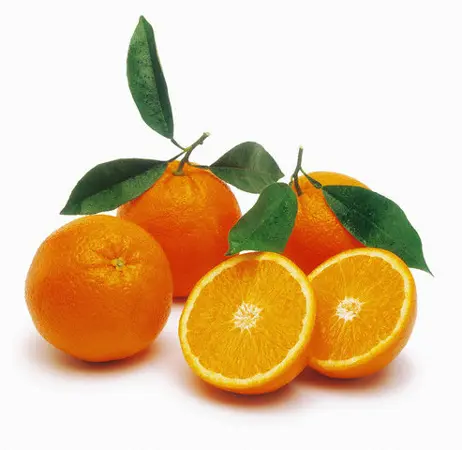 新鮮柑橘類オレンジフルーツ
