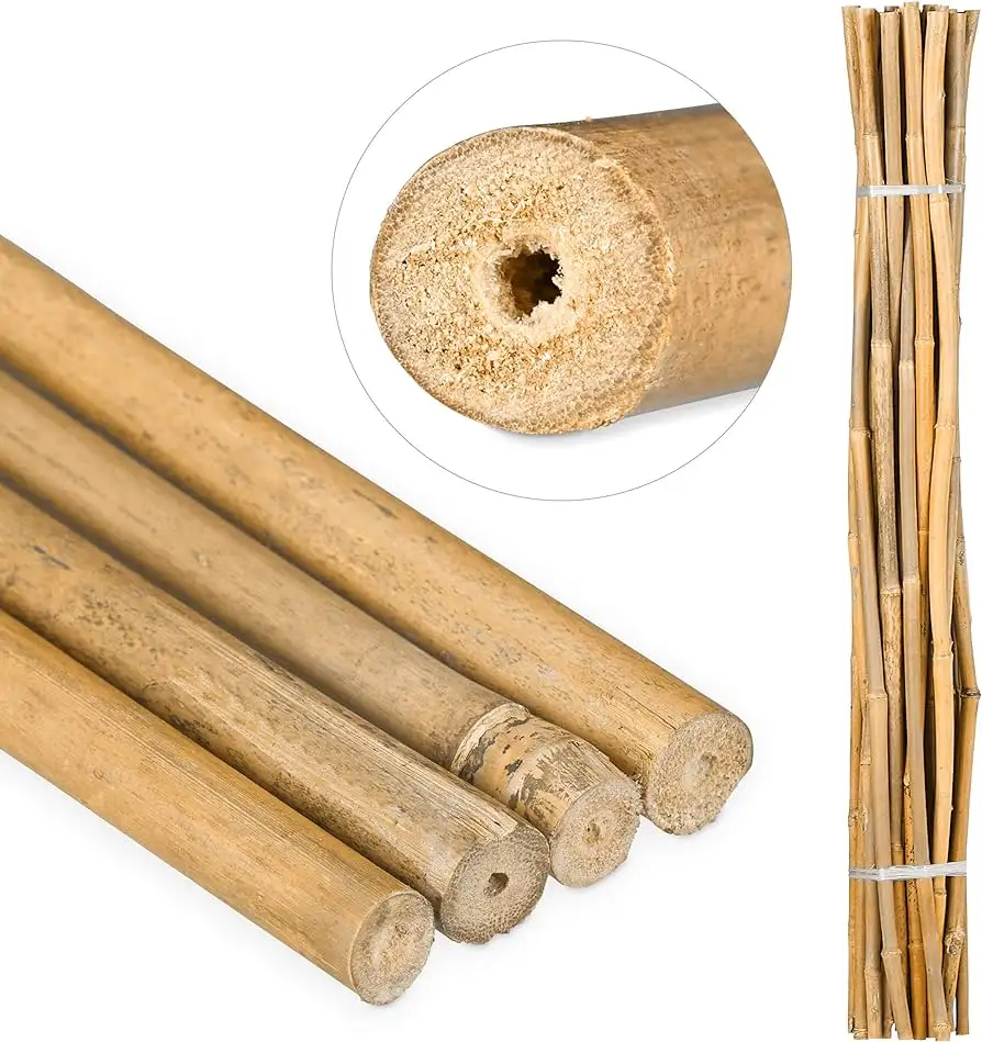 EXPORTACIÓN VENTA Poste de bambú 3M Vietnam palo de bambú Alisador Poste de bambú sólido precio más bajo