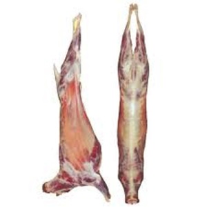 เนื้อแกะแช่แข็งฮาลาล/เนื้อแกะแช่แข็ง/แกะ/เนื้อแกะแกะ .. - Product Image 1