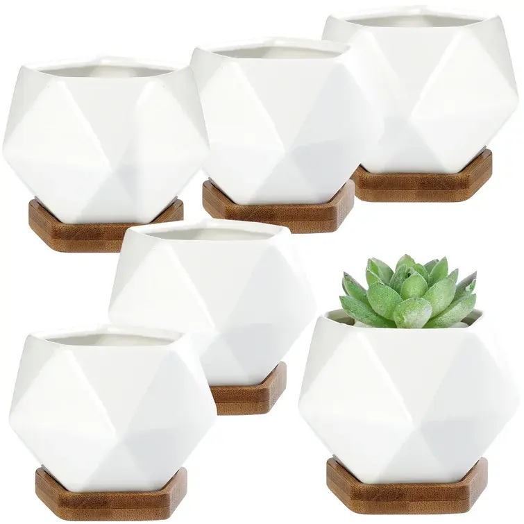 Amazon Hot Selling Handmade in India Luxury Ceramic Pot Planters (S/6) with Wood Stand For Living Drawing Room or Garden Decor