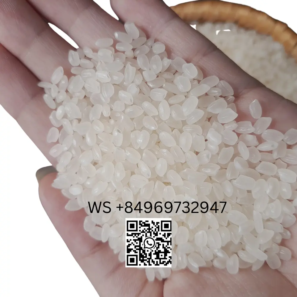 Японский рис, японский рис, короткое зерно из вьетнамской рисовой мельницы | Заводская цена, Whatsapp Ms Sophie + 84969732947