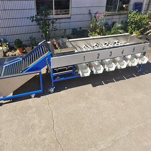 Precision <strong>Sorting</strong> Efficient Packaging <strong>Automation</strong> for Fruits Vegetables Automatic Weighing <strong>Sorting</strong> <strong>Machine</strong> Fruit Processing Plant - Product Image 4