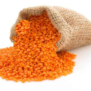 Organik bütün ve bölünmüş kırmızı mercimek yeşil mercimek toplu torbalarda kurutulmuş gıda sınıfı sertifikalı organik Dal Chana Dal - Product Image 2