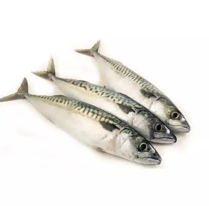 SD pesce congelato pesce prezzo di fabbrica Tilapia imballaggio alla rinfusa nuova stagione