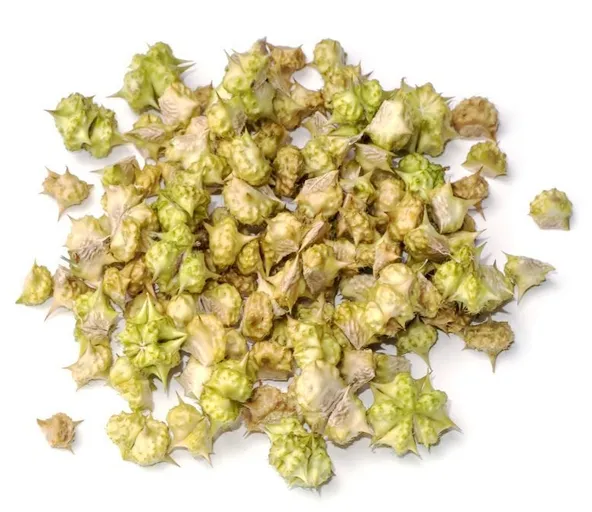 Qualidade superior Food Grade Herbal Tribulus Terrestris Extrato Em Pó 98% Saponinas a Preço de Atacado