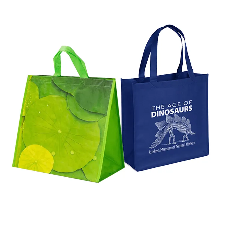 Вместительная Экологически чистая переработанная Сумка-тоут с индивидуальным логотипом Нетканая полипропиленовая ламинированная сумка для покупок